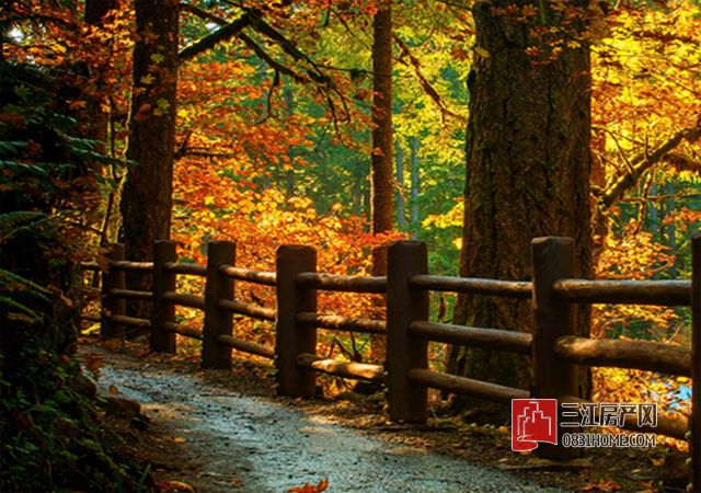 未标题-3.jpg