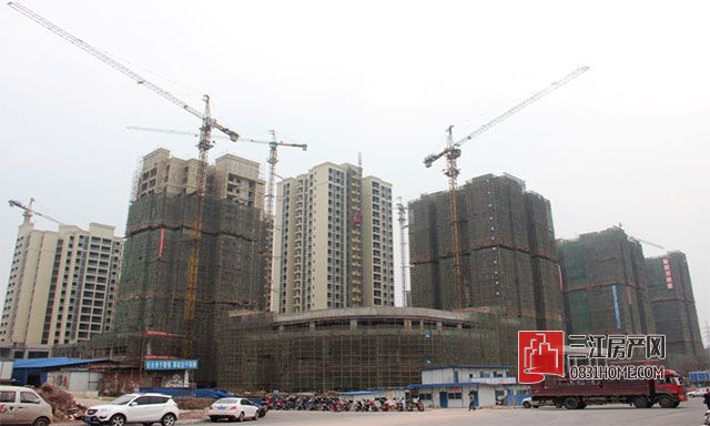 未标题-1.jpg