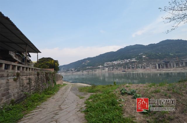 未标题-18.jpg