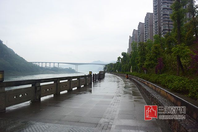 DSC_8920.jpg