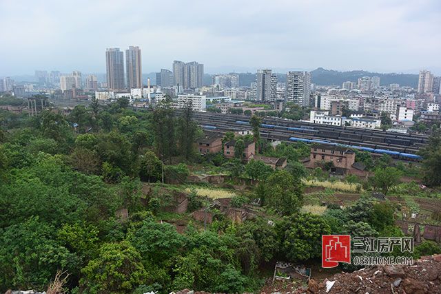 DSC_8963.jpg