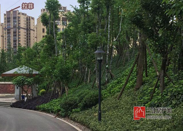微信图片_20170508145434.jpg