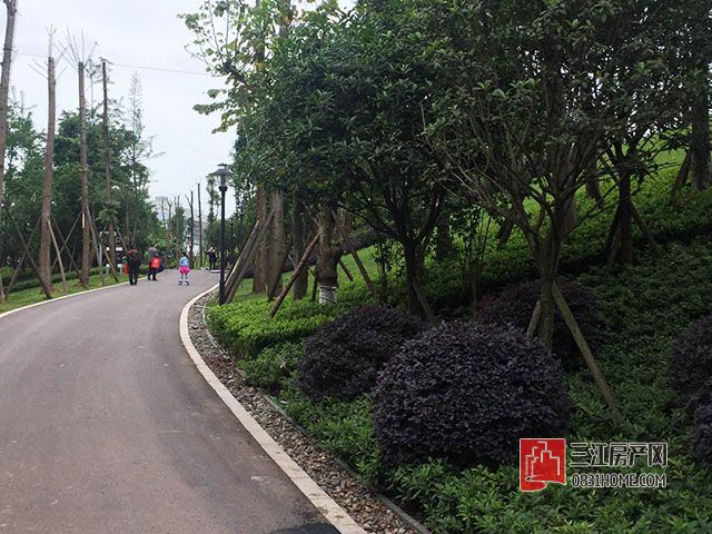 微信图片_20170508145440.jpg
