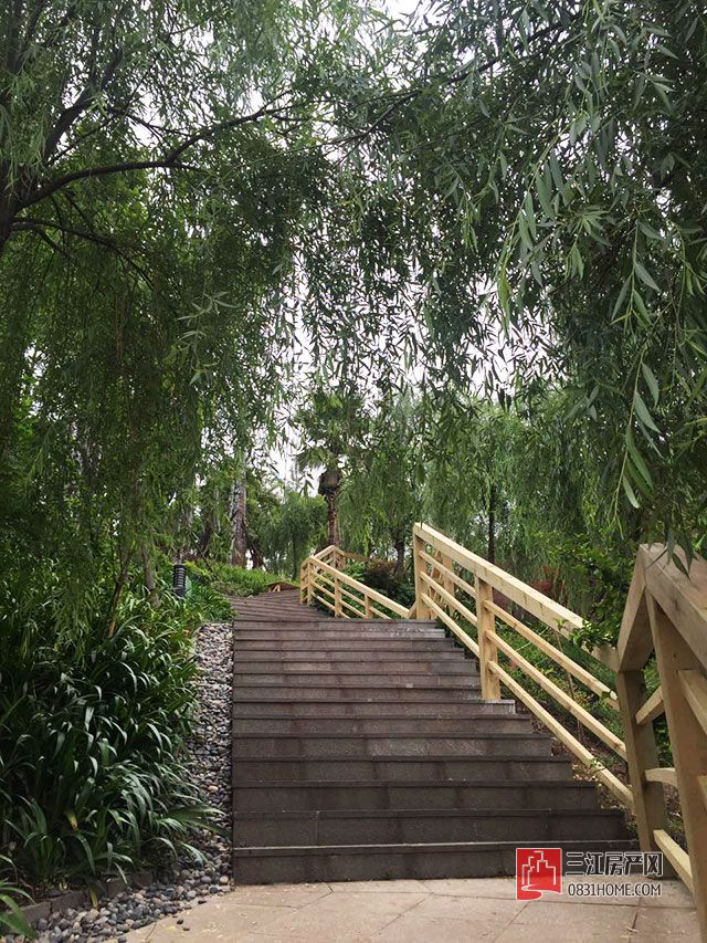 微信图片_20170508145415.jpg