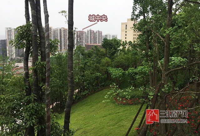 微信图片_20170508145449.jpg
