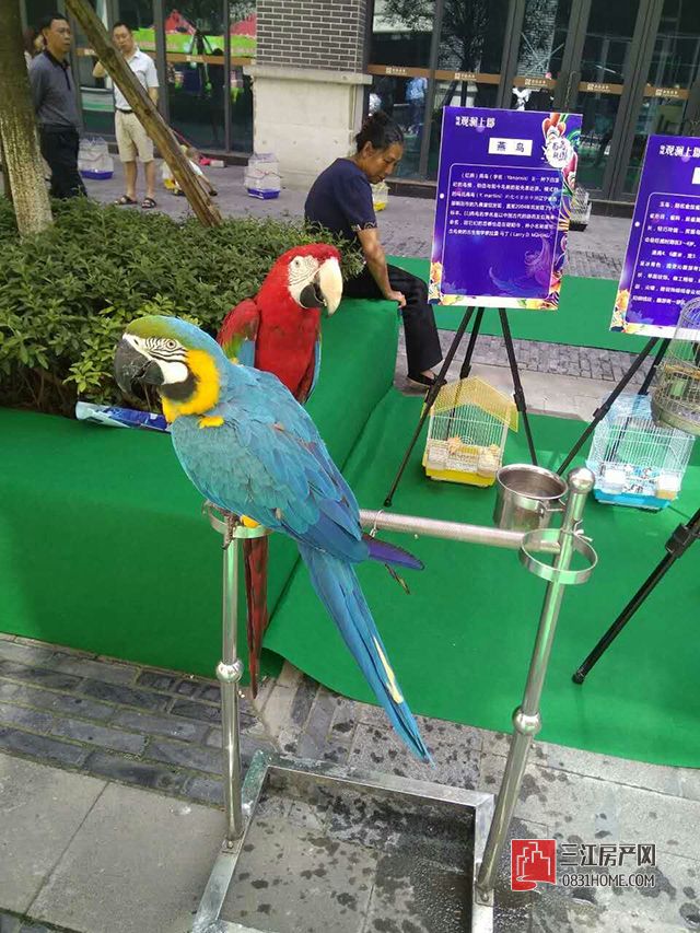 mmexport1494667160706.jpg