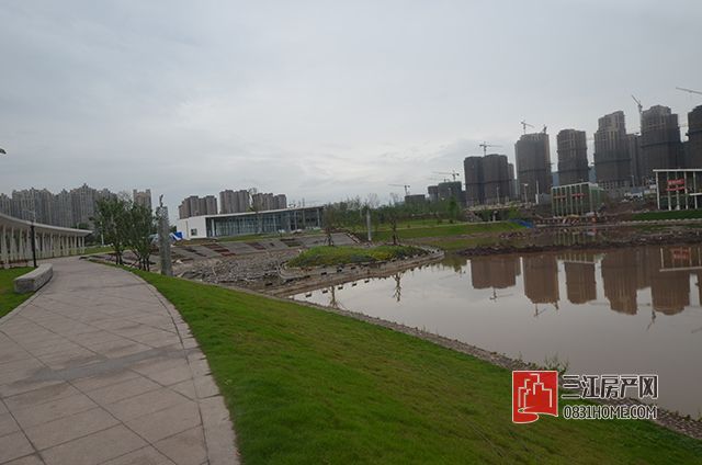 DSC_0061.jpg
