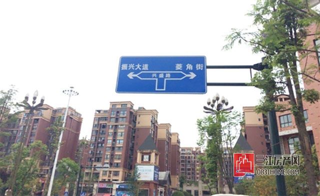 未标题-2.jpg