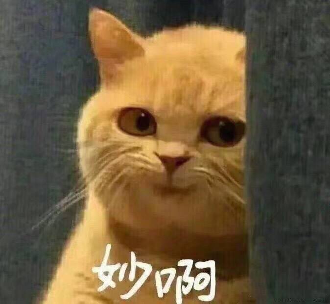 021539214ddb1716899906.jpg