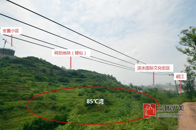 未标题-6.jpg