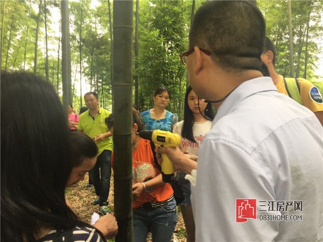 微信图片_20170611194858.jpg
