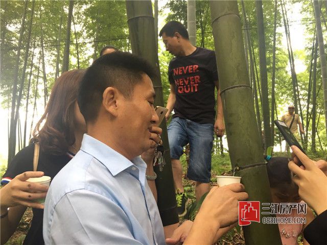 微信图片_20170611194914.jpg