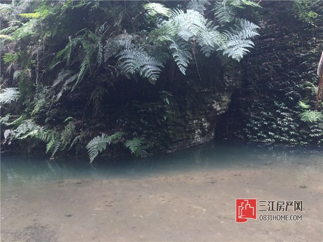 微信图片_20170611195023.jpg