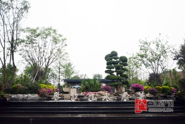 未标题-5.jpg