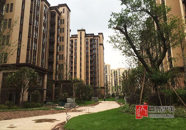 QQ图片20170612091511.jpg