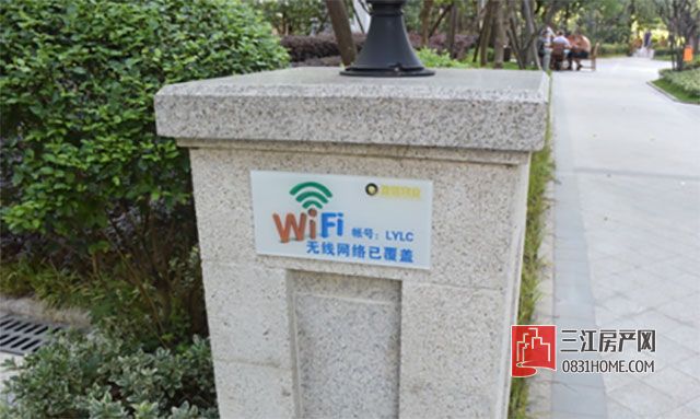 未标题-13.jpg