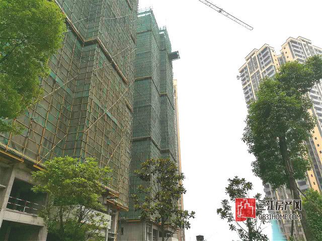 二期修建中1.jpg