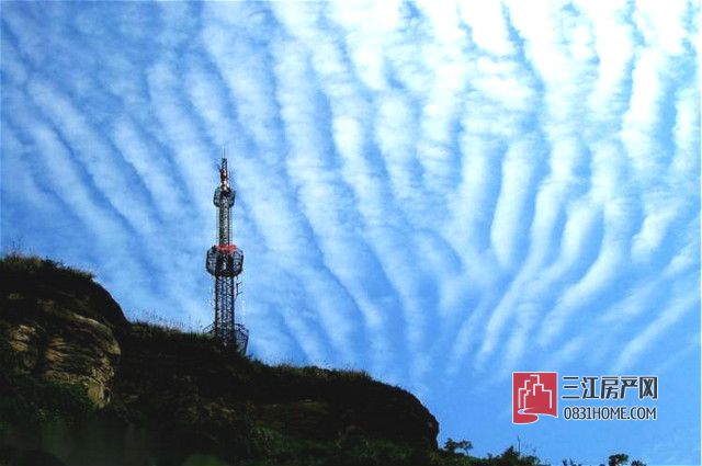 七星山森林公园.jpg