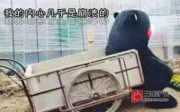 正对中庭？宜宾这些刚需户型，景观视野也不错！