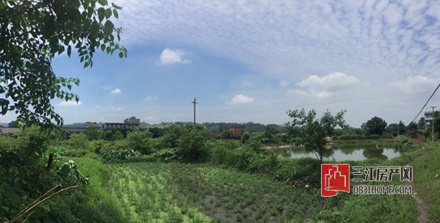 未标题-15.jpg