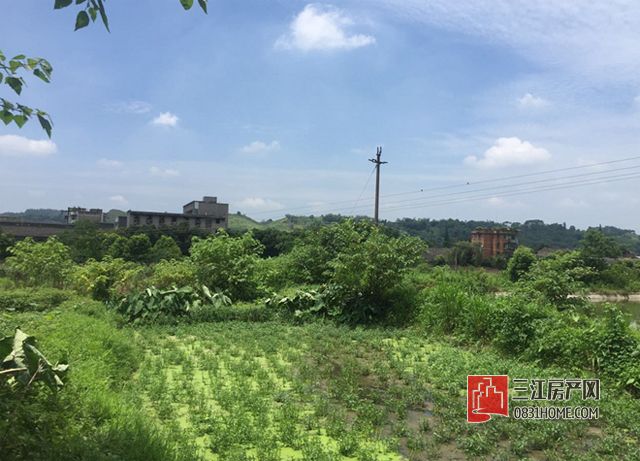 未标题-16.jpg