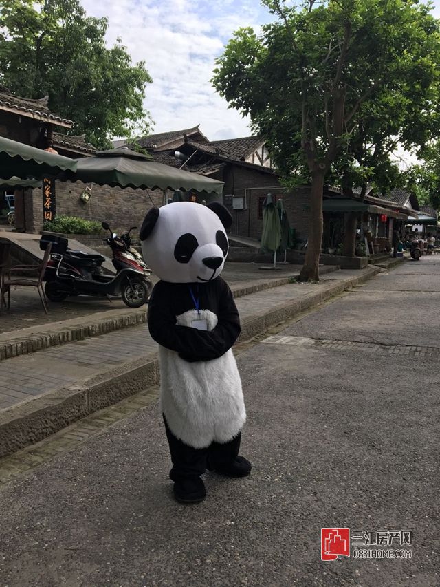 微信图片_20170703113534.jpg