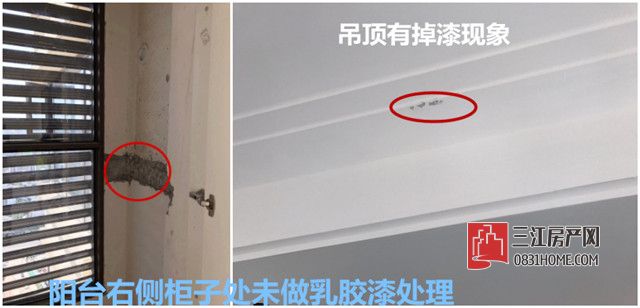 图片11_副本.jpg