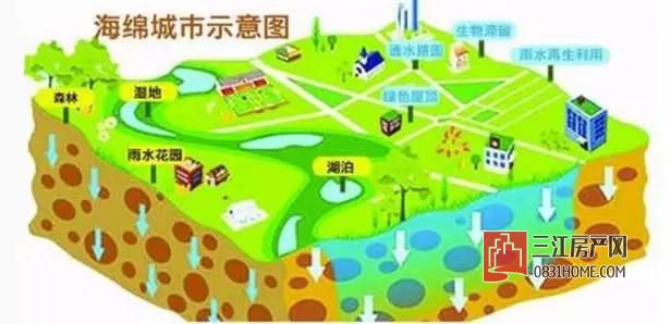 微信图片_20170706151311.jpg
