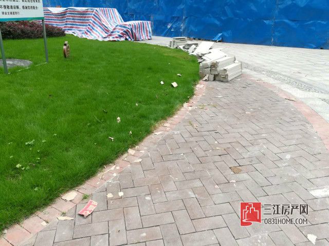 小区角落.jpg