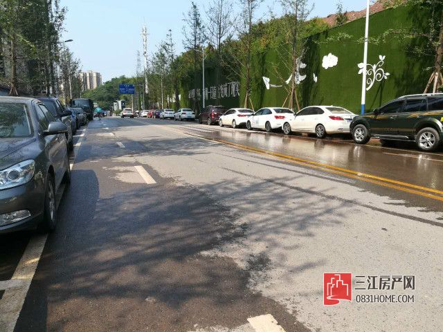 道路1.jpg