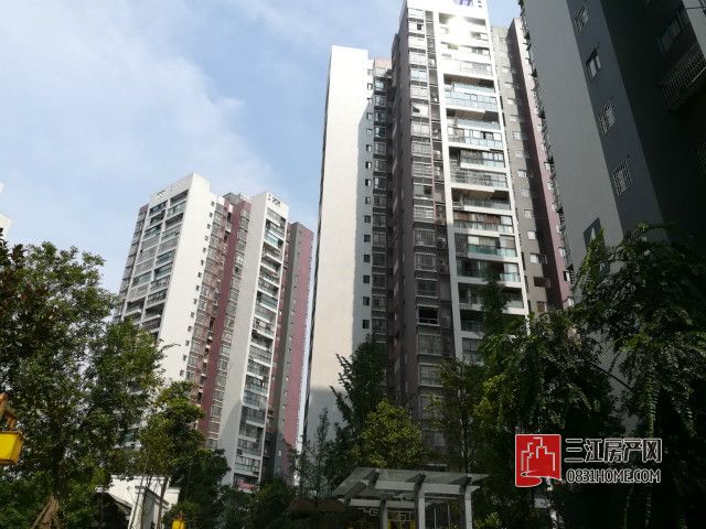 楼栋1.jpg