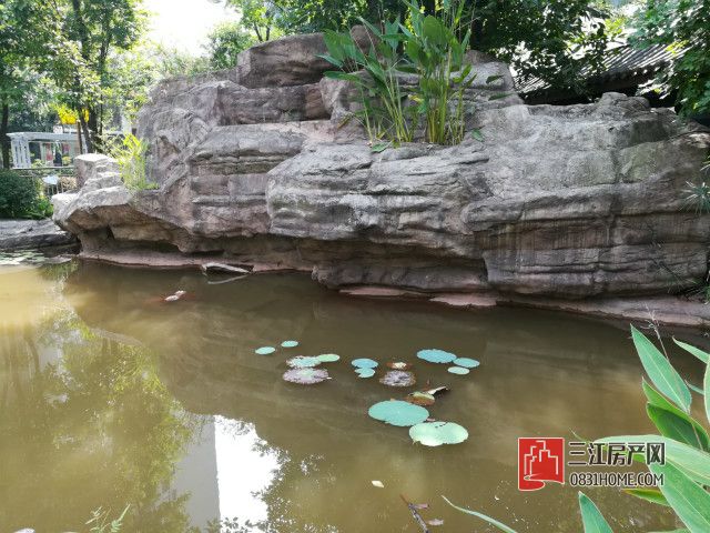 景观3.jpg