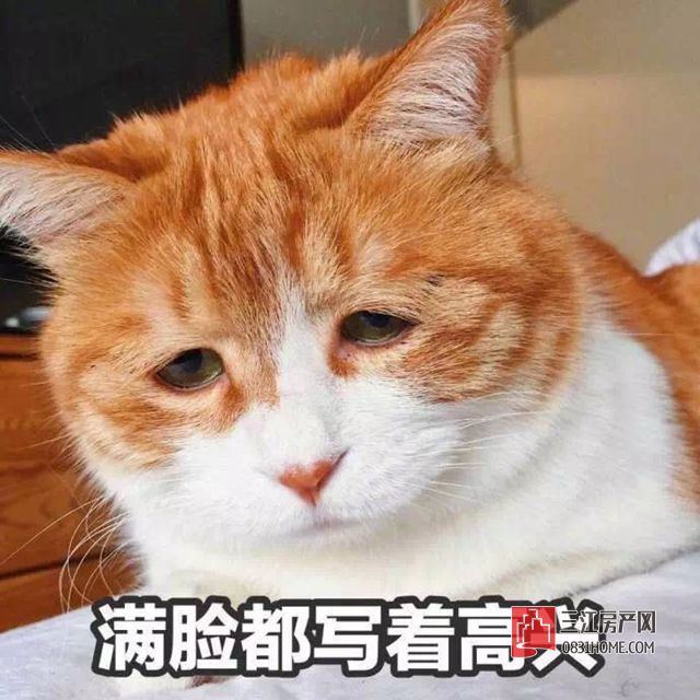 微信图片_20170823172126.jpg