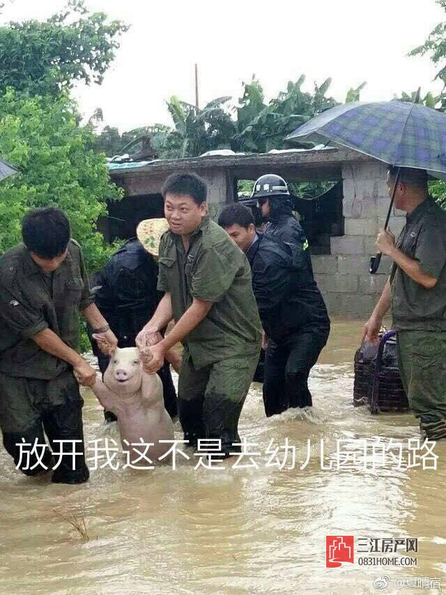微信图片_20170830165723.jpg
