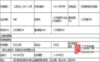 9月22日江安县将公开拍卖一宗商服用地