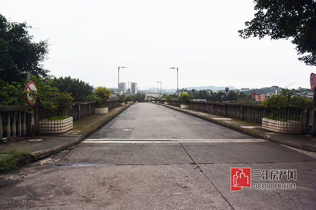 DSC_1353.jpg