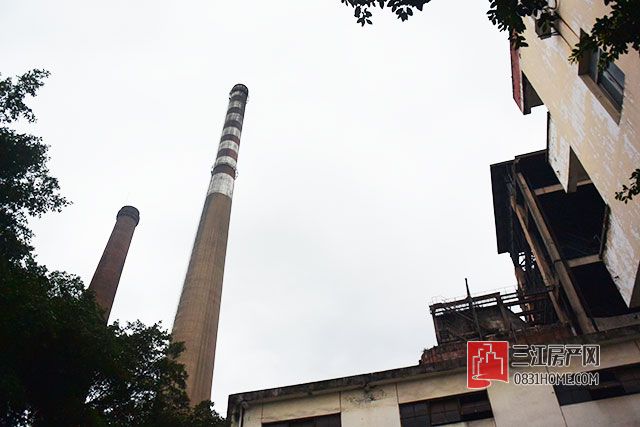 DSC_1362.jpg