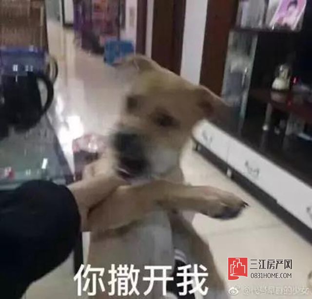 微信图片_20170908154204.jpg