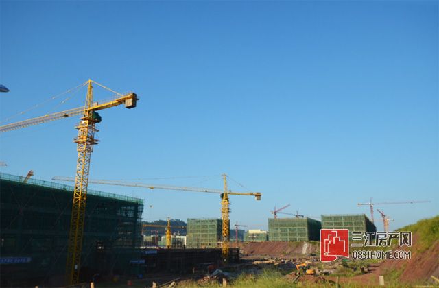 未标题-6.jpg