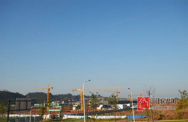 未标题-9.jpg