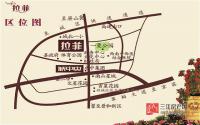 拉菲PK东城 谁是宜宾县的“最强王者”？