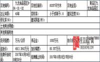 10月9日起南溪区挂牌1宗商业用地