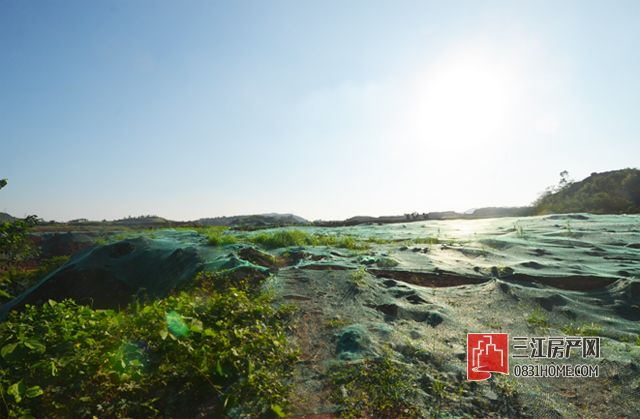 未标题-6.jpg