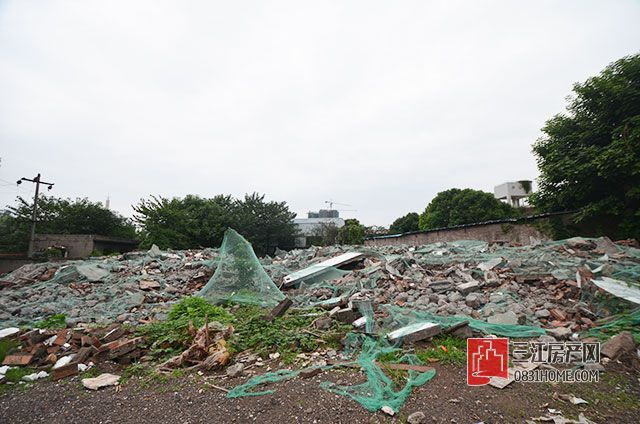 DSC_0015.jpg