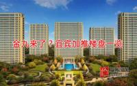 金9加推不停歇，宜宾主城新加推楼盘大汇总！