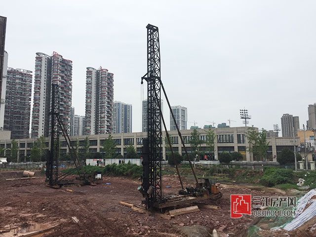 4#楼桩基础施工.jpg
