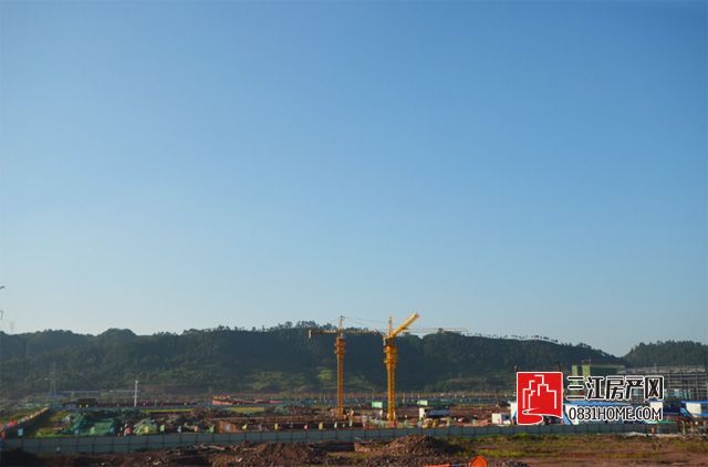 1216271476ab6a34556787.jpg