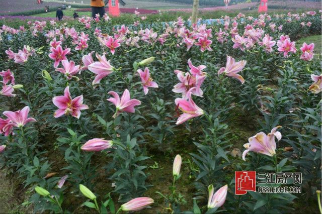 QQ图片20171020214018_meitu_16.jpg