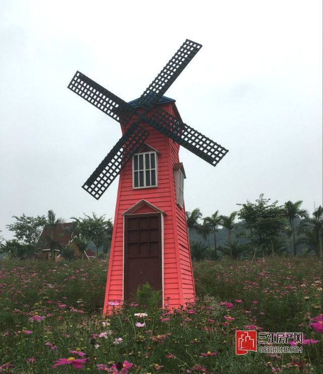 QQ图片20171020213625_meitu_5.jpg