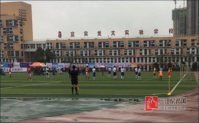d11.jpg